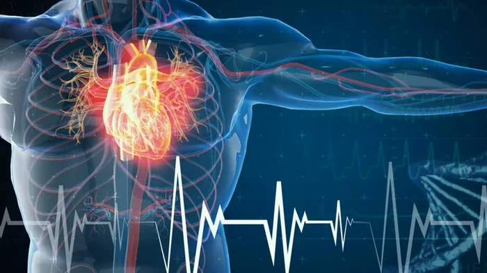 thrombosis ਦੀ ਰੋਕਥਾਮ